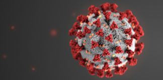 Virus Cov-19 Coronavirus