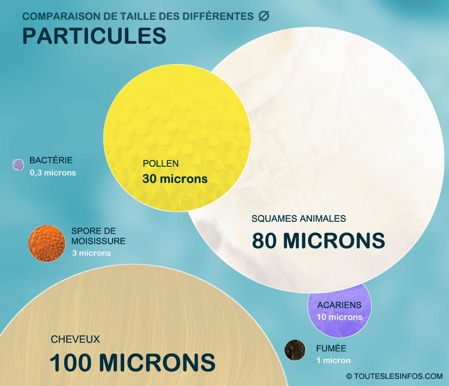 Comparaison de diamètres en particules polluantes